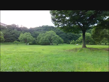 バイノーラルマイクで録音【朝の散歩】