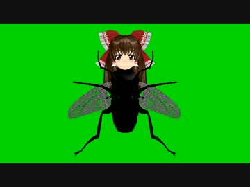 ドウスレバエＧＢ.fly