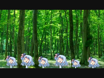 【15分耐久】ｱｵｲﾀﾞｹ【作業用】