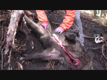 三年目狩猟生活（その６５）