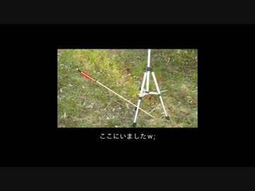 自作したロングボウで曲射してみた