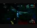 [PS4]Divine will 創造主の意思 Nyx ソロ