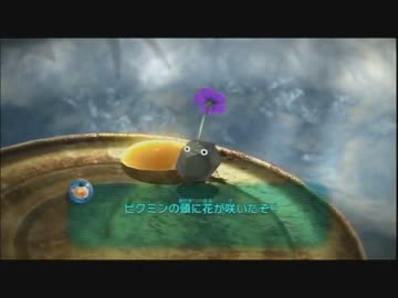 【実況】ミノルのピクミン3 その11【配信】