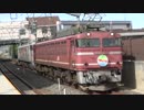 【EF81】配6550レ(20160508)【最後の花道?】