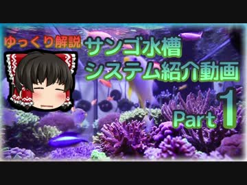 サンゴ水槽 システム紹介動画 Part1更新版 システムざっくり説明