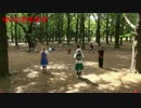 【代々木ハレオフ】橙の幻想郷音頭