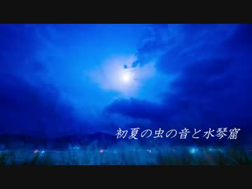 【水琴窟】初夏の虫の音と水琴窟