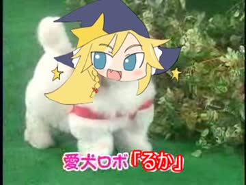 愛犬ロボ「るか」