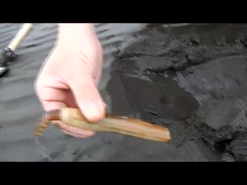 家族でマテ貝採りに行ってみた♪