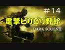 薪の王を捜し出せ【ダークソウル3】＃１４