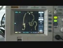 badappleオシロスコープ表示