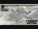 【MHP2G】崩竜ウカムルバス＋名探偵【モンスターハンター】（2/2）