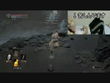 逝くたびに肉体が強くなるダークソウル３【実況】#16