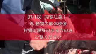 狩猟の現場から 猪の解体 2/2 閲覧注意！【R-18】