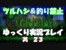 [Terraria steam]ツルハシ＆釣り禁止プレイ　其２３[ゆっくり]