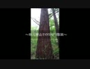 地元里山でリハビリ散策～ヤマセミ倶楽部（代表・竹内秀樹）の山行記録