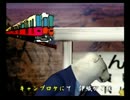 くまうた　（4182）「キャンプロケ」　唄：嵐山クマ男（夫)
