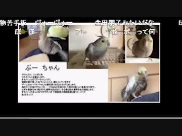 やみんずたいむず＃５【５月１１日分】