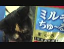 【猫旅】いなば食品さんの「Ｃｉａｏ　ミルキーちゅーる」をあげてみる
