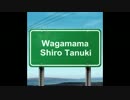 わがまま白たぬき 2016 春 その4