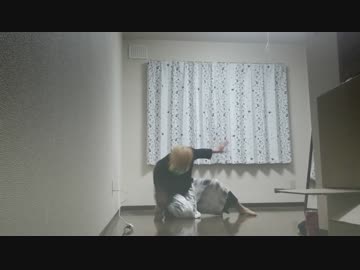 【オリジナル振付】　花瓶に触れた 踊ってみた　【カーチェス】