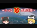 ～ゆっくり　珍　生物図鑑～　新・第32回