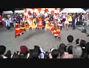 【東大生が】2015駒場祭⑨東大踊々夢【踊ってみた】Part6