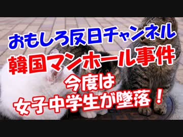 【韓国マンホール事件】 今度は女子中学生が墜落！