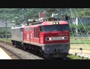 【カシ釜の】配6551レ@島本(20160513)【転職】