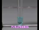 [ﾆｺﾆｺ]銅（Ⅱ）イオンとアンモニアの反応[バケガク]