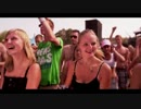 [洋楽] Wildstylez Feat. Niels Geusebroek - Year Of Summer [MV]