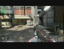 【実況】友と戦場を駆けろ！Part17 人望の無さに絶望編 【CoD:BO3 】