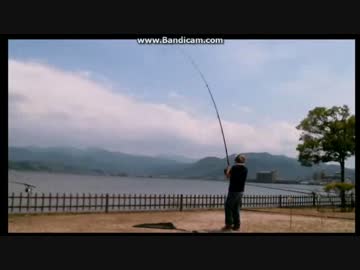 鳥取鯉釣り合宿釣果１