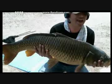 鳥取鯉釣り合宿釣果2