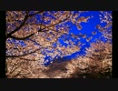 30代リーマンが「桜とともに君だけを」を歌ってみた