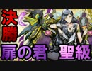 【お知らせ】ディバイントーナメント決勝戦のお知らせ【ディバゲ】