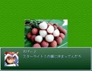 【VIPRPG】 私ライチだよ