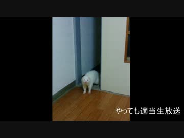 やってもの適当生放送アーカイブ動画　その２８