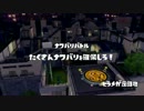 【フェスでもやっちゃいます】スプラトゥーン【ぶっころあり】55