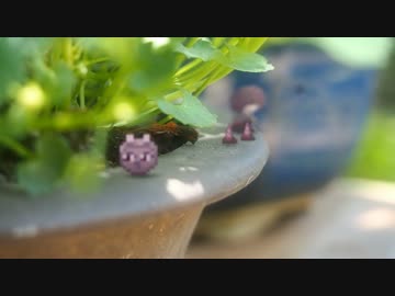 窓付きと春の日常【ゆめにっき】