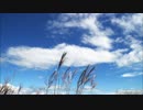 シュガーソングとビターステップ TVsize -Acoustic ver.- 【歌ってみた】