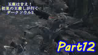 【実況】玉座は甘え！初見の王殺しが行くダークソウル3【DarkSoulsIII】part12