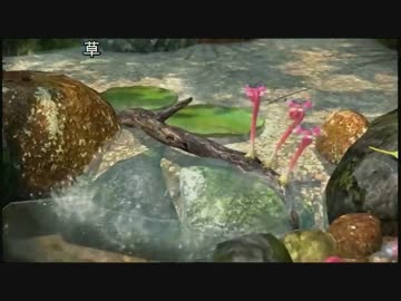 【実況】ミノルのピクミン3 その26【配信】