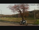 VTRといっしょに、春一番してきました【鳴神】