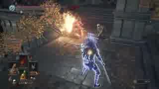 (ダークソウル3)　侵入×ときどき暗月！？(複数戦)