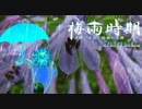 「ウォーターライオン「梅雨時期」」