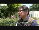 パドロックのような新しい商品開発について