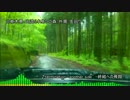 【車載】山道爆走？栃木県：出流ふれあいの森：外周【雨天】