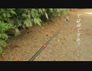 ◆これは自撮り棒ですか？