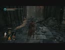 【実況】リアル望者が絶亡 DARK SOULSⅢ初見プレイ #13